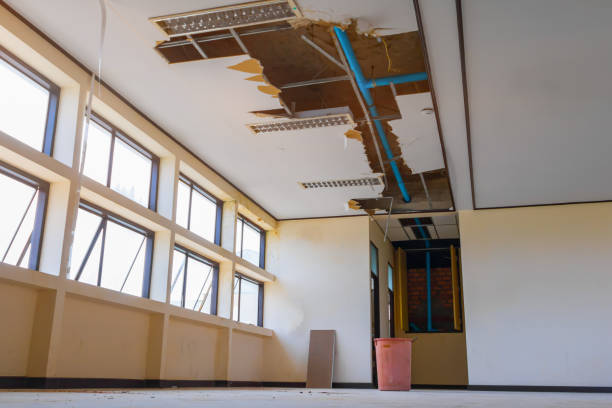 Best Flood damage cleanup  in Coleraine, MN