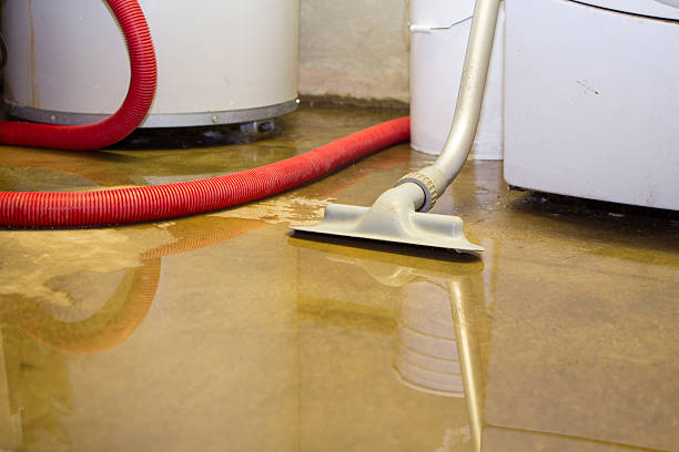 Best Water damage restoration near me  in Coleraine, MN