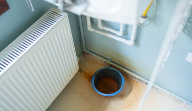  Coleraine, MN Water damage restoration Pros