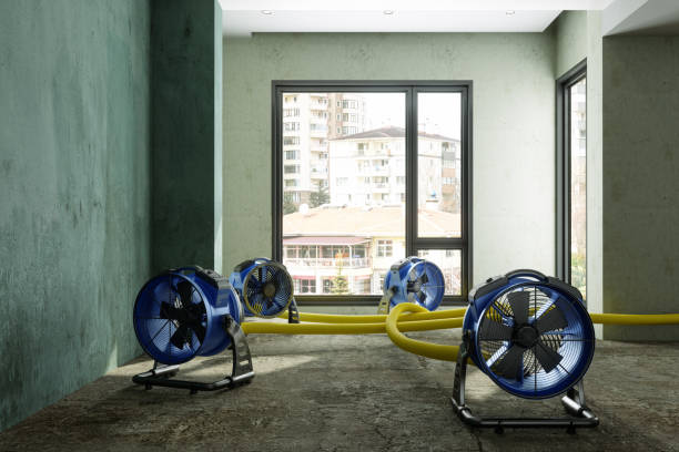 Best Water damage restoration insurance claims  in Coleraine, MN