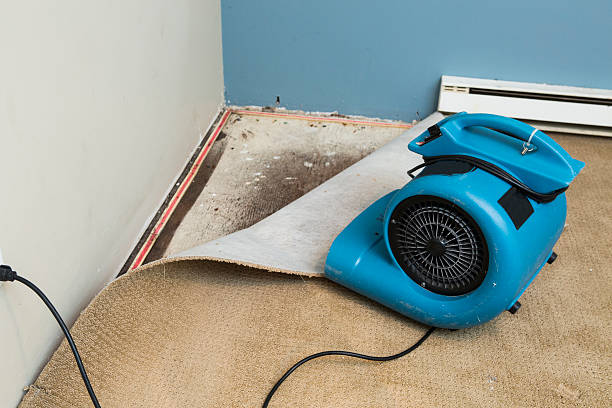 Best Flooded house restoration  in Coleraine, MN
